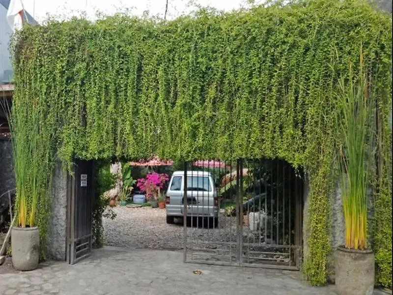 Hotel Oyo 3901 Kubu Kenak Seminyak